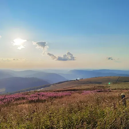 Paisible Deconnexion Totale Menil-de-Senones