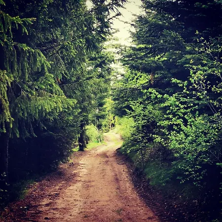 Сasa de vacaciones Paisible Déconnexion Totale