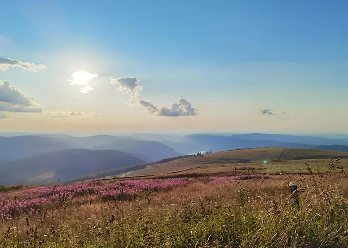 Paisible Deconnexion Totale Menil-de-Senones