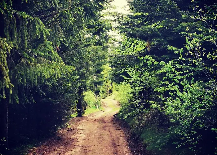 Ferienhaus Paisible Deconnexion Totale